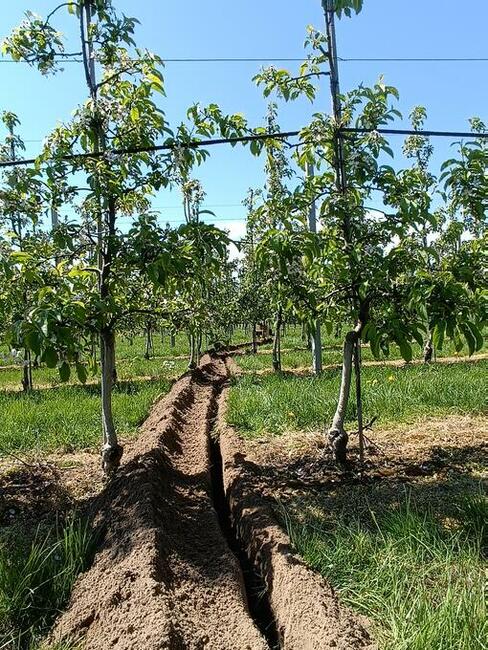 Koparka łańcuchowa wykopy liniowe nawodnienie roboty ziemne