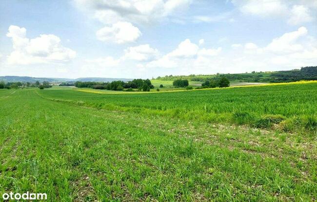 działki rolne i leśna, Żurawnica, gm. Zwierzyniec