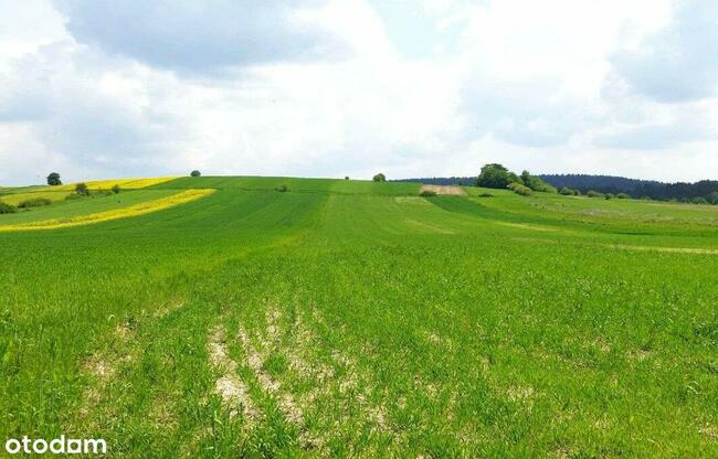 działki rolne i leśna, Żurawnica, gm. Zwierzyniec