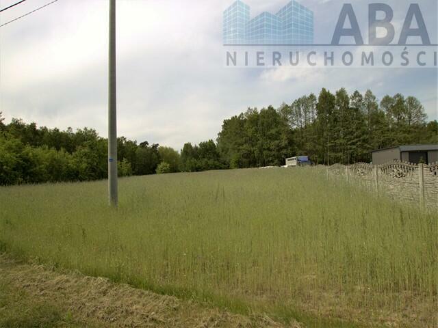 Działki rolne o powierzchni 1,24 ha - Bądków Pierwszy