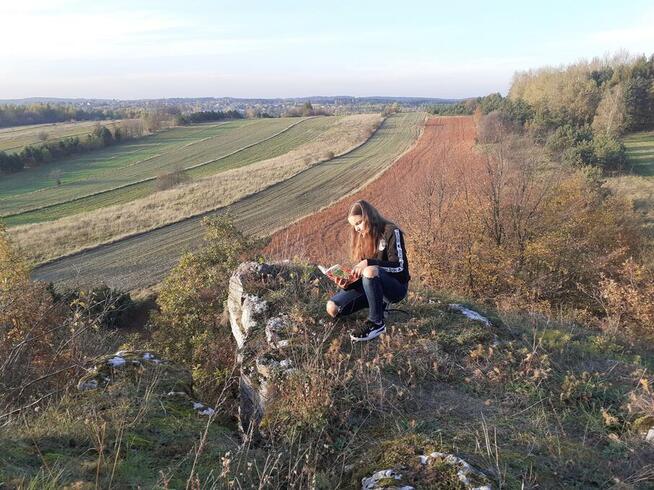 drewniany domek z kominkiem ogrodzony drewnianym płotem