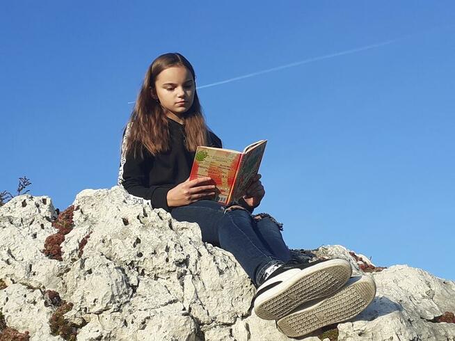 drewniany domek z kominkiem ogrodzony drewnianym płotem