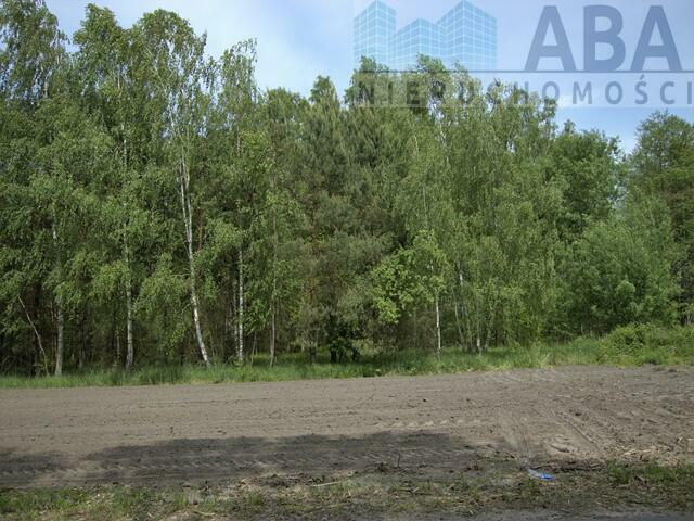 Działki rolne o powierzchni 1,24 ha - Bądków Pierwszy