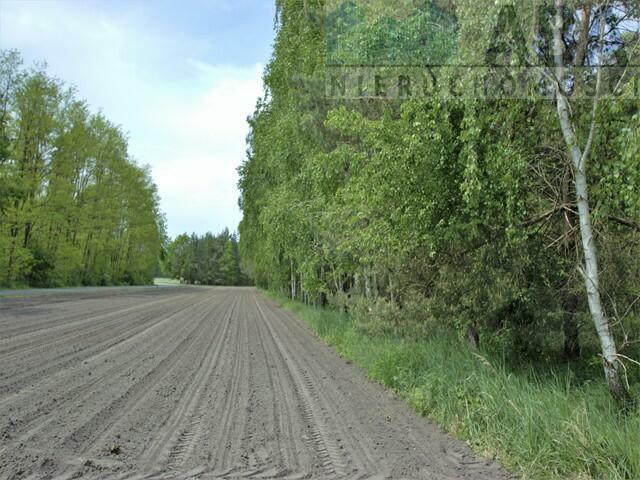 Działki rolne o powierzchni 1,24 ha - Bądków Pierwszy