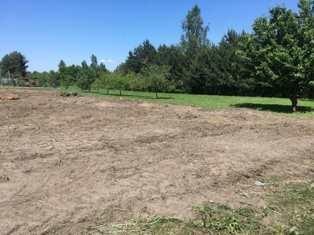 Karczowanie działek, usługi mulczerem, Wycinka drzew