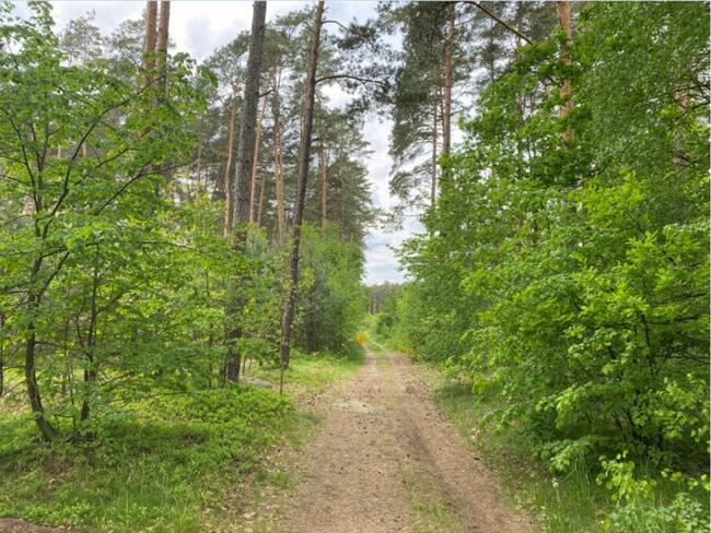 Budynek handlowo-usługowy k. Ostrowi Mazowieckiej