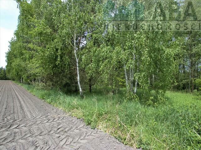 Działki rolne o powierzchni 1,24 ha - Bądków Pierwszy