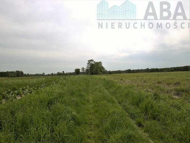 Działki rolne o powierzchni 1,24 ha - Bądków Pierwszy