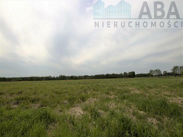 Działki rolne o powierzchni 1,24 ha - Bądków Pierwszy