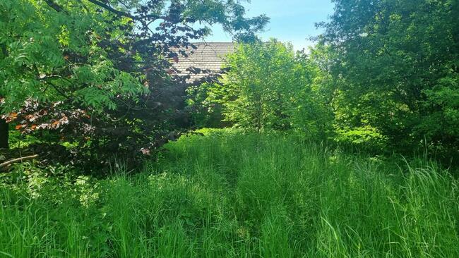 Działka budowlana w Goleszowie na sprzedaż.