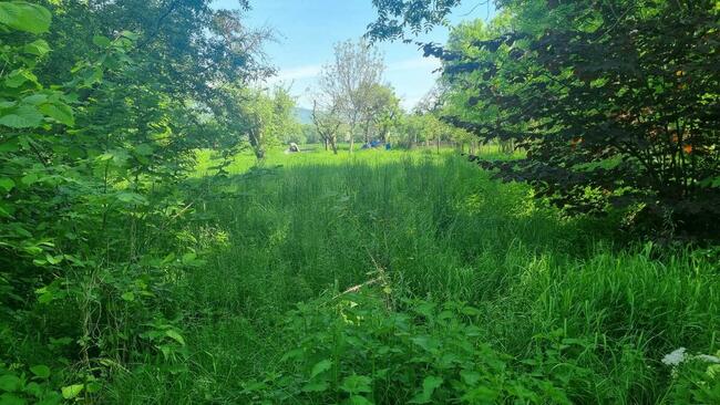 Działka budowlana w Goleszowie na sprzedaż.