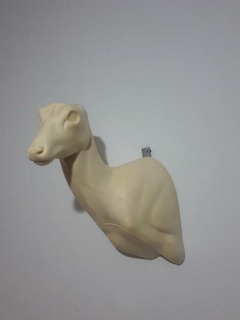 Sarna / Rogacz medalion Taxidermy, Preparowanie, odlew