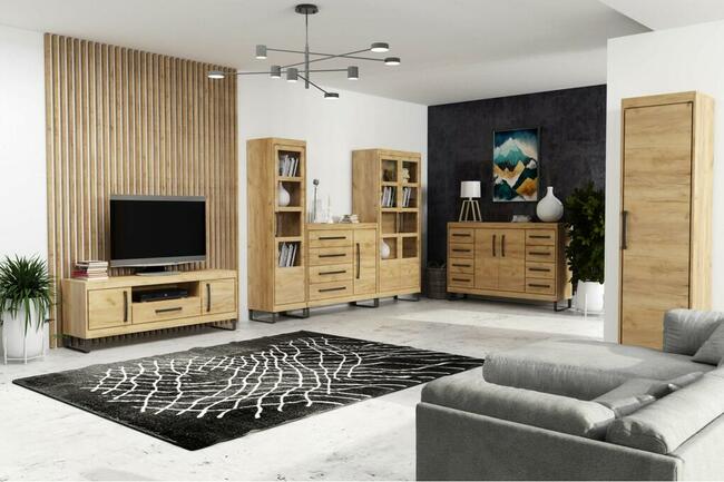 Meblościanka CHAPII w stulu loftowym