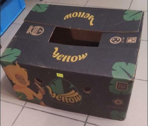 Kartony od bananów Yellow