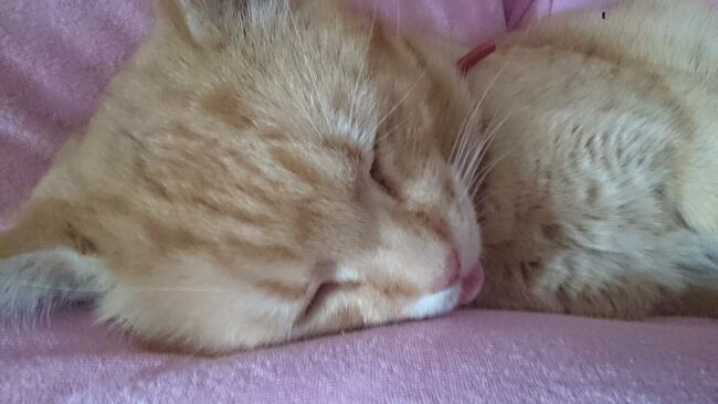 FREZOWANIE Usuwanie KLEJU LEPIKU Subitu-Katowice- Mysłowice