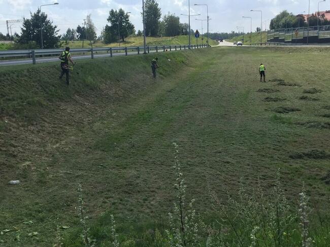 Pracownik do koszenia traw