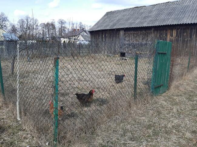 Sprzedam Siedlisko z domem URLE/Warszawa