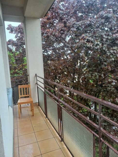 Wynajmę mieszkanie od zaraz Przywiśle Tarnobrzeg