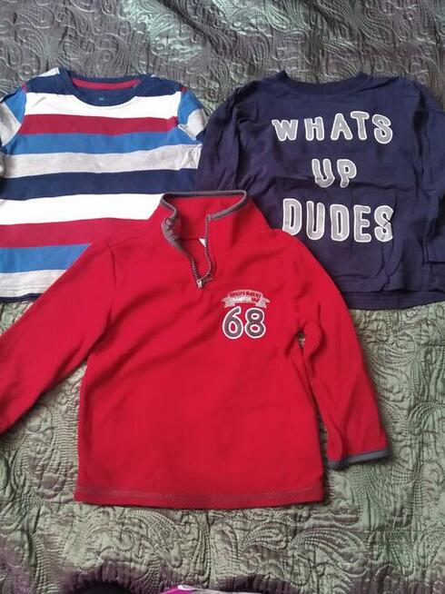 Zestaw 5 sztuk bluzek chłopięcych Lupilu