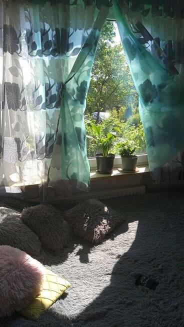 Kawalerka w Miedzylesiu