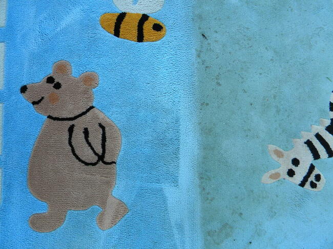 Pranie dywanów ,tapicerki