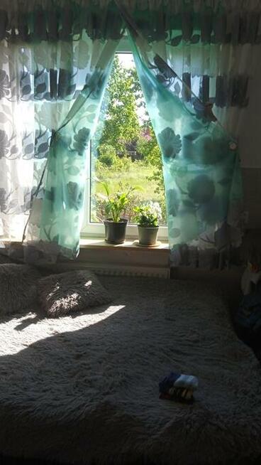 Kawalerka w Miedzylesiu