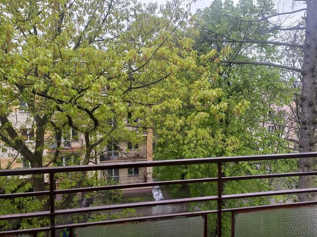 Wynajmę mieszkanie od zaraz Przywiśle Tarnobrzeg