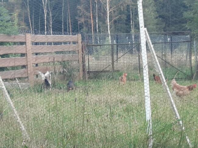 Sprzedam Siedlisko z domem URLE/Warszawa