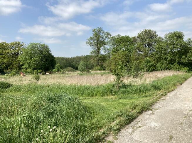 Wynajmę działkę rekreacyjną - Kowale pod Obornikami Śląskimi