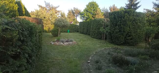 Wycinka drzew i prace ogrodowe- Zgierz i okolice. BanGarden