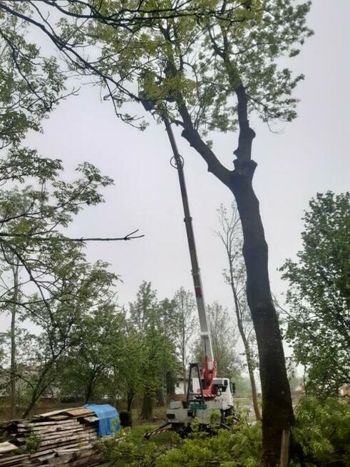 Usługi podnośnik koszowy, dźwigi wycinka drzew