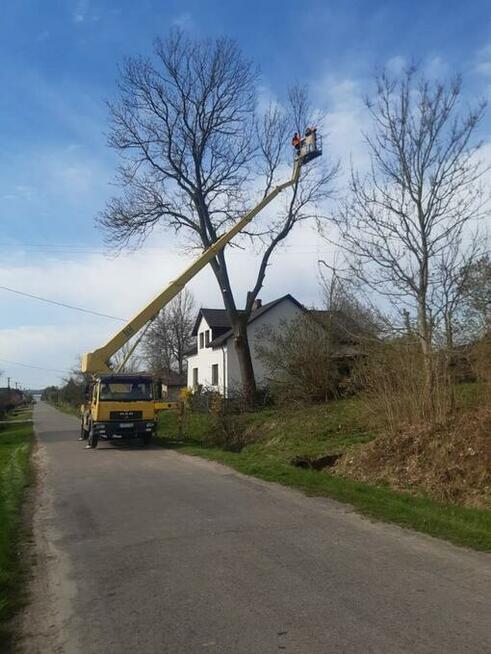 Usługi podnośnik koszowy, dźwigi wycinka drzew