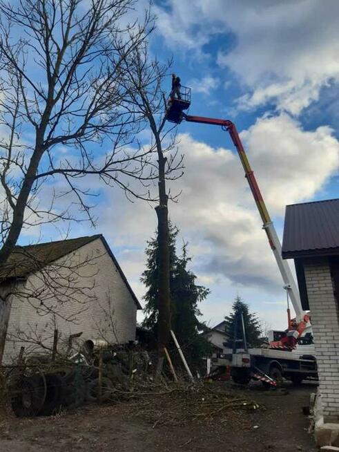 Usługi podnośnik koszowy, dźwigi wycinka drzew