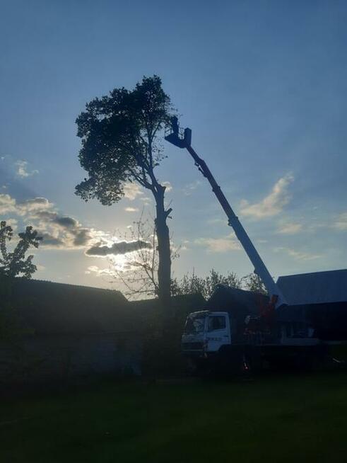 Usługi dźwigowe dźwigi usługi dźwigiem podnośnik koszowy