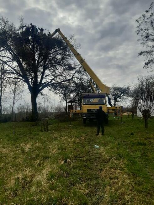 Usługi podnośnik koszowy, dźwigi wycinka drzew