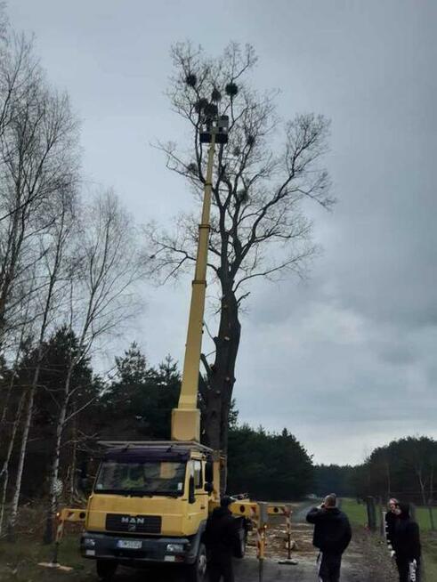 Usługi podnośnik koszowy, dźwigi wycinka drzew