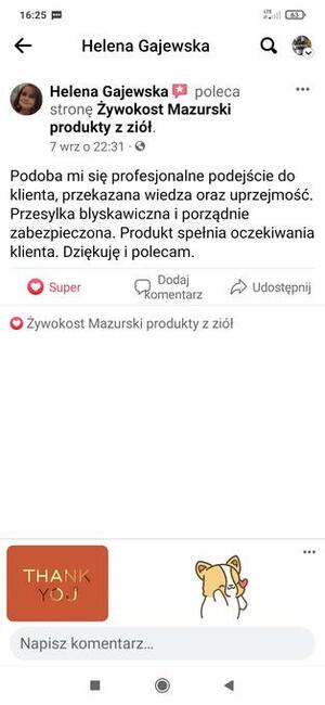 Żywokost lekarski Balsam Mazurski na 60% bioalkoholu