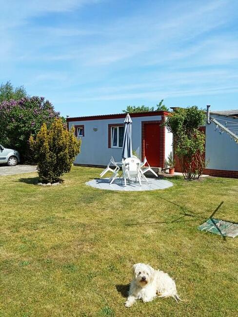 NOCLEGI OK. KOŁOBRZEGU I GRZYBOWA