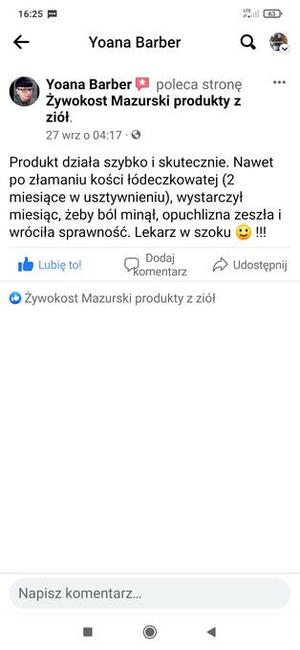 Żywokost lekarski Balsam Mazurski na 60% bioalkoholu
