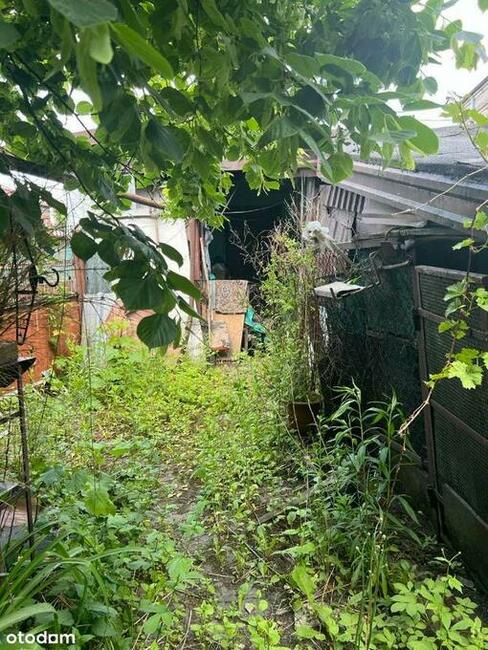 DOM KAMIENICA Z DUŻYM GARAŻEM GĄBIN RYNEK