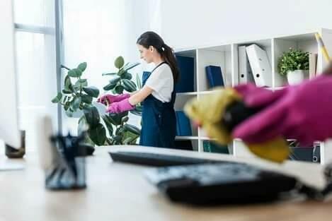 Sprzątanie biur, okna, przeszklenia, witryny