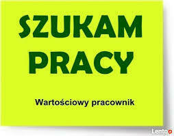 Szukam pracy
