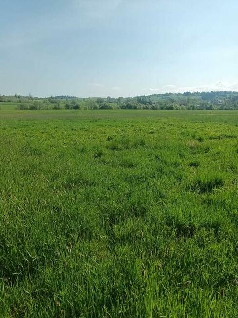 Działki rolne Pieniążkowice