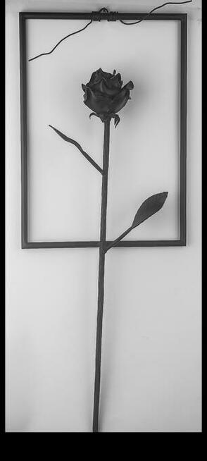 Cięcie plazmą , metaloplastyka , usługi ślusarsko spawalnicz