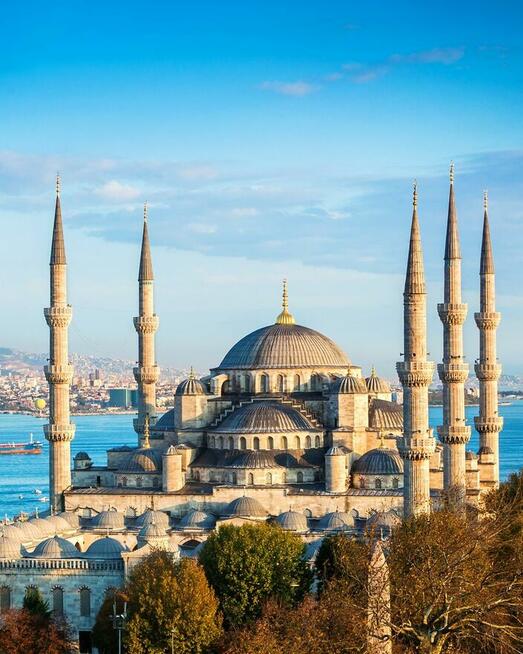 Jeśli jesteś ciekawa