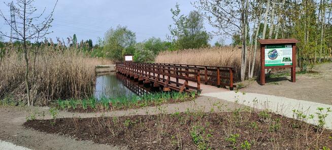 Wbijanie bicie pali pomosty na palach