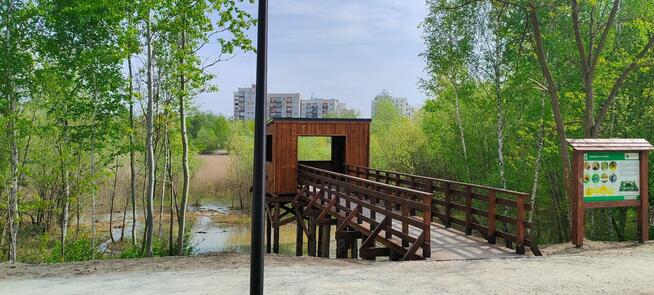 Wbijanie bicie pali pomosty na palach