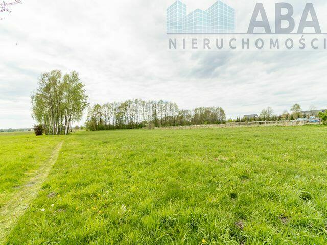 Słodków Kolonia - duża działka inwestycyjna na sprzedaż