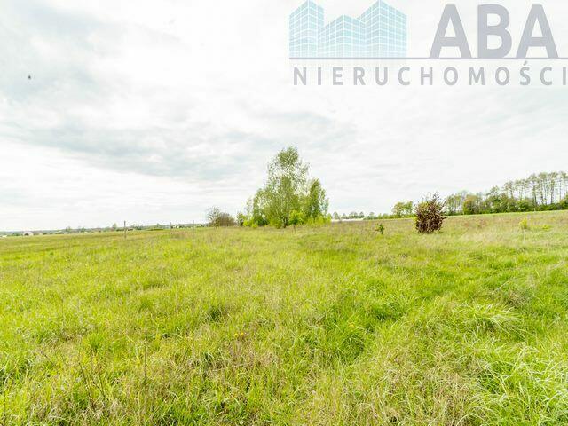 Słodków Kolonia - duża działka inwestycyjna na sprzedaż