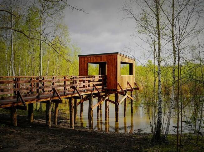 Wbijanie bicie pali pomosty na palach